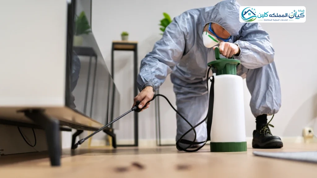 شركة مكافحة الحشرات بخميس مشيط | شركة كيان المملكه كلين