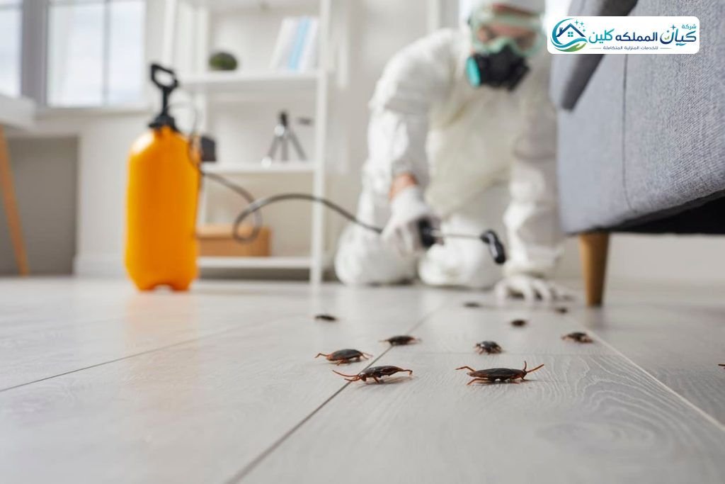 شركة مكافحة الحشرات بخميس مشيط | شركة كيان المملكه كلين