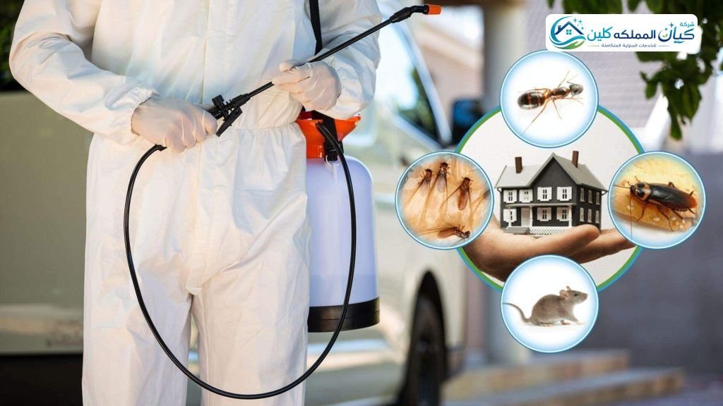 شركة مكافحة الحشرات بخميس مشيط | شركة كيان المملكه كلين